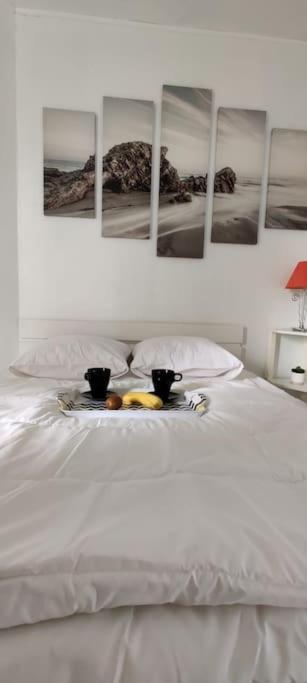 Apartament Chez Emy & Tom Cabourg Zewnętrze zdjęcie